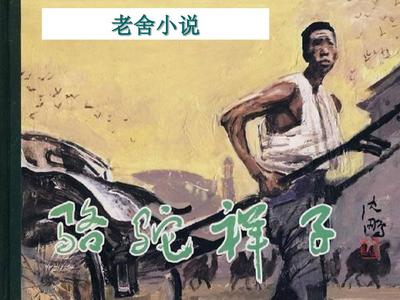 星空天美果冻大象在线观看